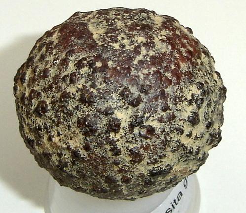 Pirita globular (4cm) limonitizada. Morro das Balas, Formiga, Minas Gerais- Brasil (Autor: Anisio Claudio)