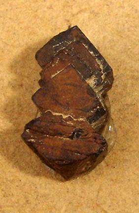 Pirita limonitizada (1cm). Luanda, Formiga, Minas Gerais, Brasil. (Autor: Anisio Claudio)