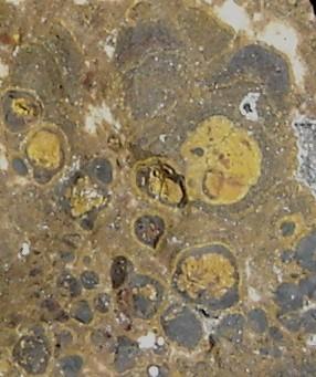 Esferolitos en crosta ferruginosa (muestra con 4cm). Morro das Balas, Formiga, Minas Gerais, Brasil (Autor: Anisio Claudio)