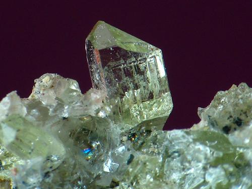 apatito. la celia, jumilla
cristal de 2,5 mm (Autor: josminer)