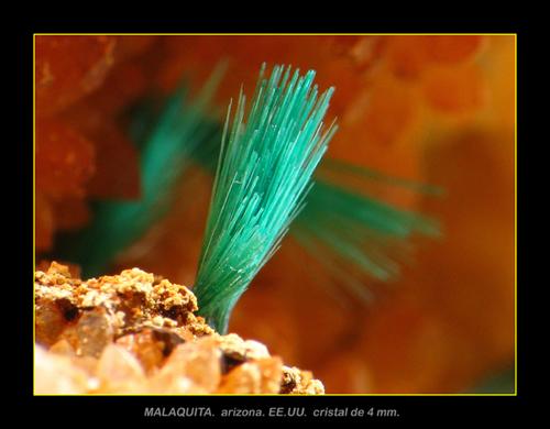 malaquita. arizona, ee.uu.
cristal de 3 mm. (Autor: josminer)