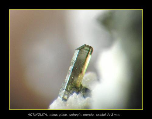 actinolita. mina gilico, cehegin. murcia
cristal de 1,5 mm (Autor: josminer)