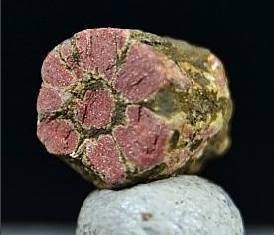 Moscovita<br />Kameoka City, Kyoto Prefecture, Kinki Region, Honshu Island, Japan<br />1 cm<br /> (Autor: nimfiara)