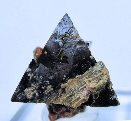 Helvita, andradita
Huanggang Mine, Hexigten Banner, Ulanhad League, Chifeng, Inner Mongolia Autonomous Region, China
23 mm x 20 mm (Autor: Carles Millan)