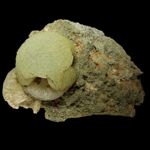 Prehnita
Cantera Oficarsa (Cerro de las Culebras), Carchelejo, Jaén, España
5x3 cm.
Col. & Fot. Juan Hernandez.
Adquirida en Junio de 2006 (Acquired in June of 2006). (Autor: supertxango)