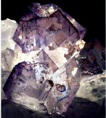 Fluorita<br />Mina Tule, Melchor Múzquiz, Municipio Melchor Múzquiz, Coahuila (Coahuila de Zaragoza), México<br />Cristales hasta 2,8 cm<br /> (Autor: Peter Seroka)