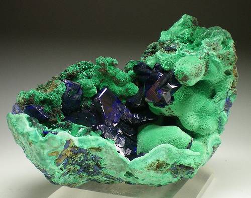 Azurita sobre malaquita
Guichi,Chizhou,Anhui Province,China
6,7 Cm X 4,5 cm, cristal mayor, 1,7 cm (Autor: Francisco Javier Ortiz)