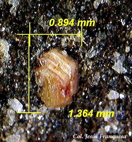 Synchysita-(Ce).<br />Afloramientos Adra, Adra , Comarca Poniente Almeriense, Almería, Andalucía, España<br />1´36 x 0´89 mm.<br /> (Autor: Jesus Franquesa Baucells)