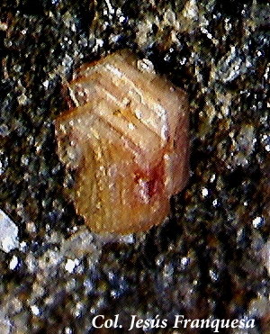 Synchysita-(Ce).<br />Afloramientos Adra, Adra , Comarca Poniente Almeriense, Almería, Andalucía, España<br />1´36 x 0´89 mm.<br /> (Autor: Jesus Franquesa Baucells)