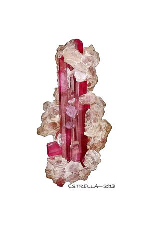 Tourmaline (Autor: Félix Estrella)