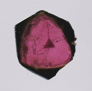 Tourmaline slice, diam.23mm by 3mm thick, collection id 08xxT-001. (Author: Gerhard Niklasch)