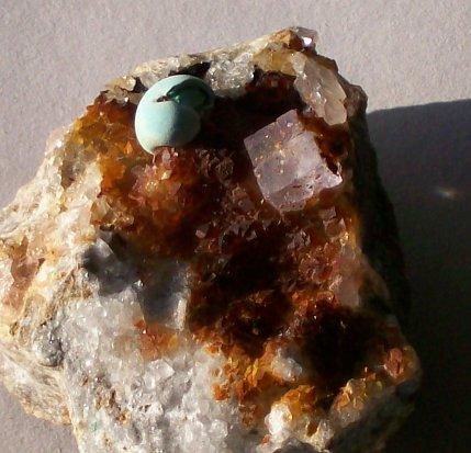 Fluorite and a nautilus of Aurichalcite on hematite-coated Quartz on matrix
Is Murvonis mine, Carbonia-Iglesias, Sardegna IT (Author: Gerhard Niklasch)