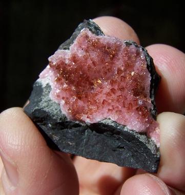 Rhodochrosite
N’ Chwaning 2; KMF, South Africa
33 x 31 mm
 (Author: Pierre Joubert)