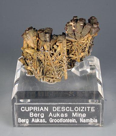 Cuprian Descloizite, nice! (Author: Gail)