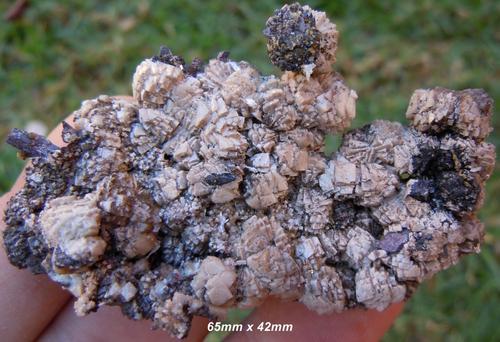 6 Kalahari manganese fields olmiite crystal cluster-south africa.jpg (Author: Anton Potgieter)