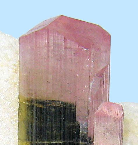 Elbaite, albite
Stak Nala, Haramosh Mountains, Skardu, Gilgit-Baltistan, Pakistan
62 mm x 39 mm x 38 mm

Close-up view (Author: Carles Millan)