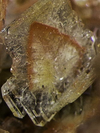 Baryte, Realgar<br />Baia Sprie Mine, Baia Sprie, Maramures, Romania<br />FOV appr. 0,5 cm<br /> (Author: Rob Schnerr)
