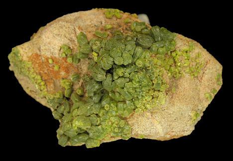 Pyromorphite, Huari-Huari Mine, Potosi Department, Bolivia.  4.2 x 2.5 x 2 cm (Author: Tracy)