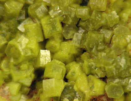 Close-up of hexagonal pyromorphite crystals (Author: Tracy)