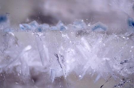 cookeite & apatite in quartz - Brazil - 6-2-45 Feather.jpg (Author: John S. White)