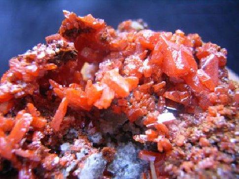 CROCOITE (Lead Chromate)
Source: Adelaide Mine, Dundas, Tasmania, Australia.
Size: 7 x 4 x 3.5 cm.

Detail (Author: Leon56)