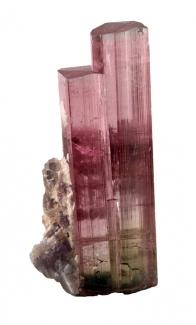 2.5 x 1.1 x 1.0 cm elbaite with lepidolite from the Himalaya Mine, Gem Hill, Mesa Grande District, San Diego Co., California, USA (Author: Jim)