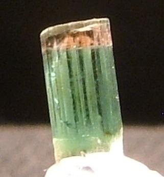 Tourmaline var. Elbaite
Glen Buchat, Grampian Region, Scotland, UK
4mm tall
Terminated red-cap blue elbaite. The crystal is blue but has appeared a bit green in the photo.
 Acquired in 2008. (Author: Mike Wood)