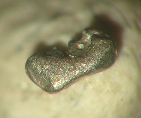 Native platinum is quite rare in Germany. The picture shows a 1,8 mm nugget from Kolbersbach, Drachselsried, Bavaria. (Author: Andreas Gerstenberg)