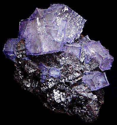 Fluorite on Sphalerite

Elmwood Mine
Middle Tennessee District
Carthage
Smith County, Tennessee
United States of America

13.0 x 9.5 cm overall
3.3 cm xtal (Author: GneissWare)