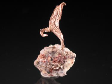 Silver
Uchucchacua Mine, Oyón, Lima, Peru
35 x 20 x 13 mm. (Author: Gianfranco Rodríguez T.)