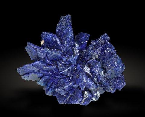 Azurite
Oumjrane, Alnif, Morocco
6x5 cm. (Author: Enrique Llorens)