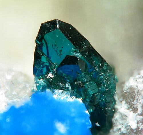Lammerite from El Guanaco Mine, Antofagasta, Chile.
Field of view: 3.8 mm (Author: Rewitzer Christian)