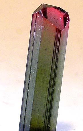 Liddicoatite, Madagascar, 25 x 9 mm (Author: Jim)