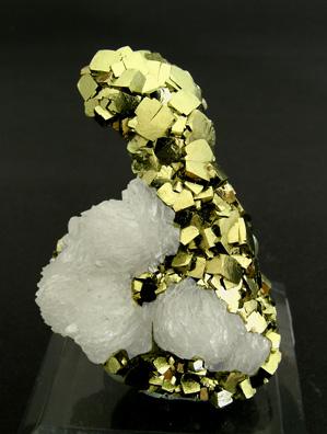 Pyrite with Calcite
Panasqueira, Covilha, Beira Baixa
Minas da Panasqueira, Level 3. 
3.4 x 5.0 x 1.5 cm (Author: Gail)