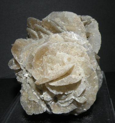 Gypsum. Villalvilla. Madrid. Spain. 5 cm (Author: nimfiara)