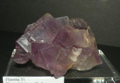 Fluorite. Cuetu l’Aspa. Berbes. Asturias. Spain. 7 cm. (Author: nimfiara)