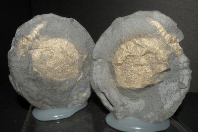 Pyrite nodules. A-23. Castellón. Comunidad Valenciana. Spain. 6 cm. (Author: nimfiara)