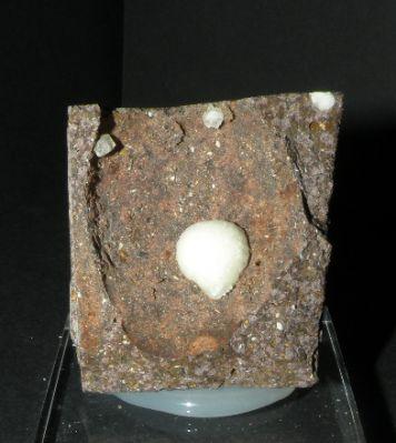Calcian Nontronite. Can Súria Quarry. Sils. Gerona. Spain. 6 cm. (Author: nimfiara)