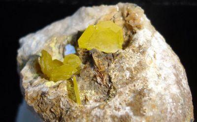 Wulfenite. Lastonares Mine. Albuñuelas. Granada. Andalusia. Spain. Crystal 0,7 cm (Author: nimfiara)