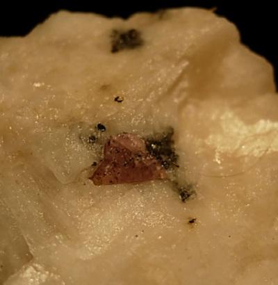 Pink Spinel
Amity New York
10mm (Author: Glenn Rhein)