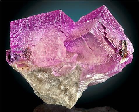 Nice cluster of 2 raspberry Fluorite cubes from Elmwood, TN. Measures 7 x 8 x 4 cm and weighs 150 grams (Author: VRigatti)