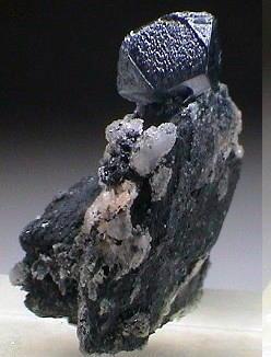 Wulfenite variety Chillagite (blue) xl. w/ Tennantite

Tsumeb Mine, Namibia

4 cm. x 3 cm. x 2 cm. specimen
12 mm. x 12 mm. x 8 mm. Crystal

Photo by John Veevaert (Author: Val)