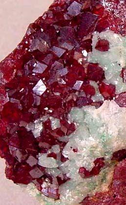 Cuprite.
Tsumeb, Namibia.
Brilliant red crystals to 5 mm on 8 x 4 cm matrix.
 (Author: Ru Smith)