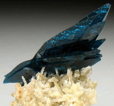 Veszelyite xls. on Cerussite xls. 

Locality: Black Pine Mine, Flint Creek Valley, Granite Co., Montana, USA

Size: 13mm x 15mm x 13mm

Photo by Joseph Freilich (Author: Val)
