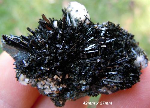 Zomba plateau aegerine crystals on orthoclase crystal matrix-malawi.jpg (Author: Anton Potgieter)