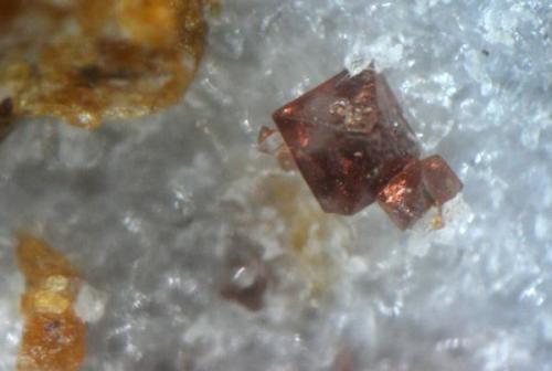 ESPINELA ROJA  GEMA Sierra de Mijas -Mijas - Malaga cristal 2mm (Autor: Mijeño)