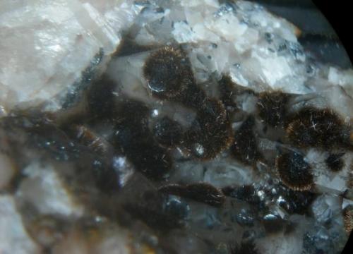 GOETHITA-HEMATITES 
Cala -Huelva -
5cm x 6.5cm (Autor: Mijeño)