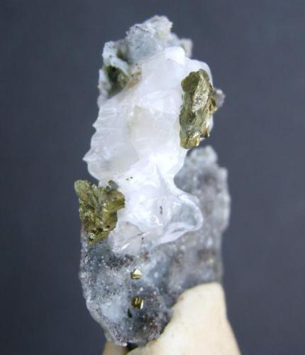 Calcopirita
Minas de Cala - Huelva - Andalucía - España
cristales de 0.6 y 0.5 cm (Autor: Diego Navarro)