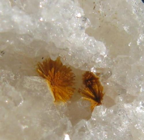 Cacoxeno. 
Mina La Paloma, Zarza La Mayor (Caceres)
Tamaño 2 mm. (Autor: Jose Luis Otero)