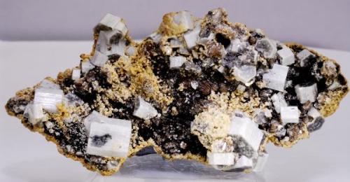 Fluorapatito fibroso , Siderita , Arsenopirita y Moscovita - 
Minas da Panasqueira - Nivel 2 - Barroca Grande - Covilha - Castelo Branco - Portugal - 
9,4 x 4,8 x 2,6 cm (Autor: Martí Rafel)